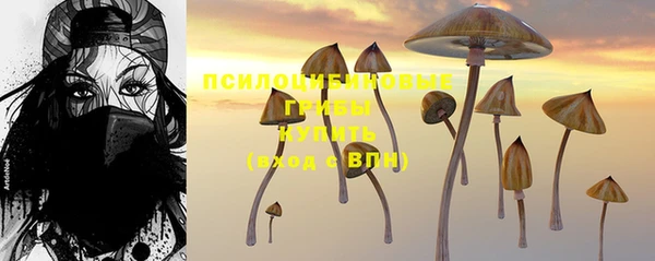 эйфоретик Белоозёрский